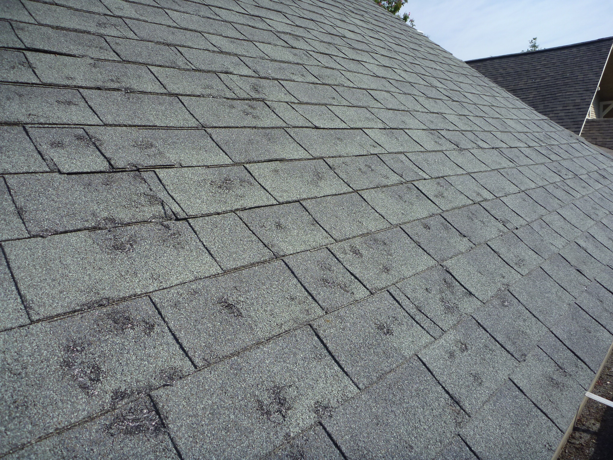 hail damage on shingle roof 2