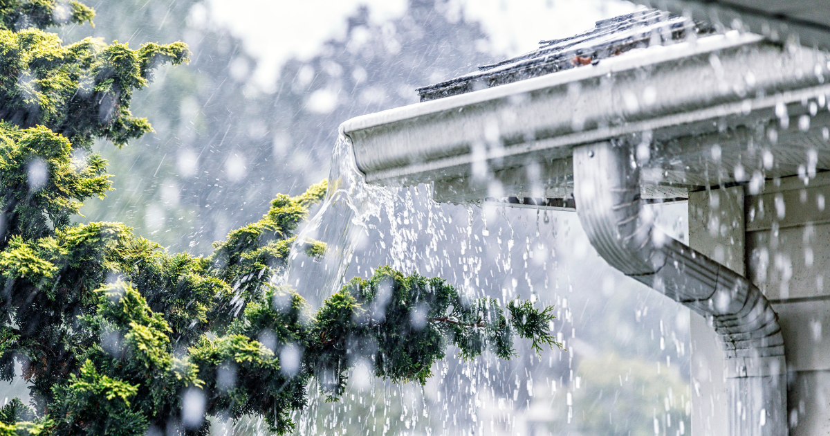gutters and rain